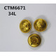 CTM6671