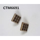 CTM6691