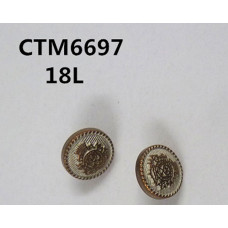 CTM6697