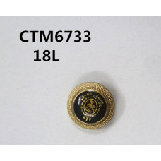 CTM6733