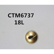 CTM6737
