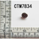 CTM7834.jpg