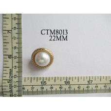 CTM8013.jpg