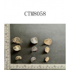 CTM8058.JPG