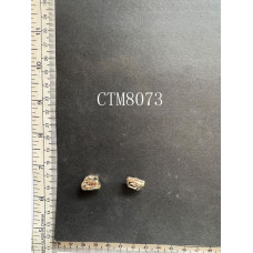 CTM8073.JPG