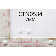 CTN0534