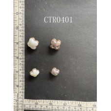 CTR0401.JPG
