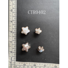 CTR0402.JPG