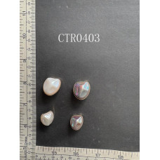 CTR0403.JPG