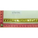 CTU0752