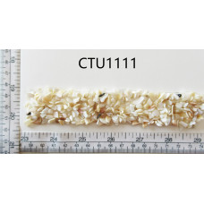 CTU1111