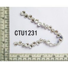 CTU1231.jpg