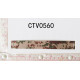 CTV0560