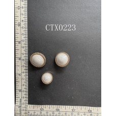 CTX0223-2.JPG