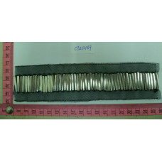 CTZ10189
