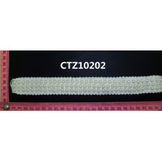 CTZ10202