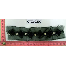 CTZ10207