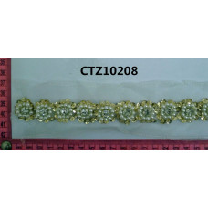 CTZ10208