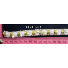 CTZ10267