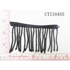CTZ10455