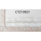 CTZ10921