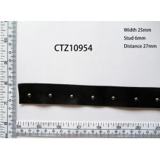 CTZ10954