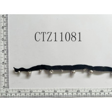 CTZ11081.jpg