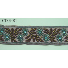 CTZ6481