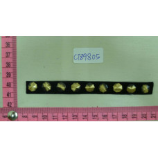CTZ9805