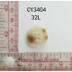 CY3404