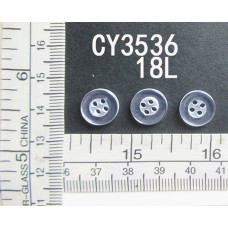 CY3536.jpg
