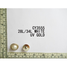 CY3555.jpg