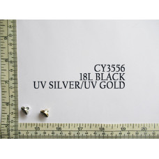 CY3556.jpg