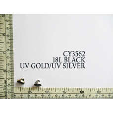 CY3562.jpg