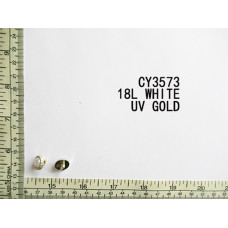 CY3573.jpg