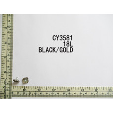 CY3581.jpg