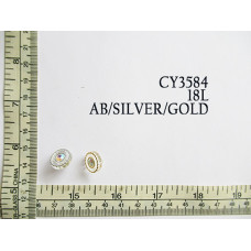 CY3584.jpg