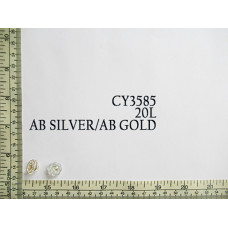 CY3585.jpg