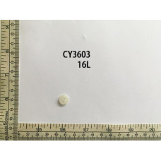 CY3603.jpg