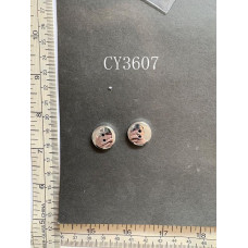 CY3607.JPG