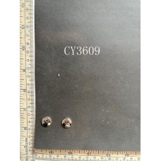 CY3609.JPG