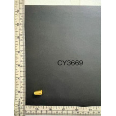 CY3669.jpg