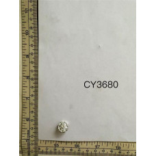 CY3680.jpg