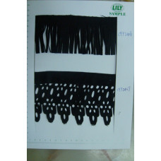CYY2416-2417