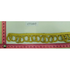CYY3839