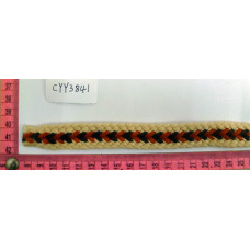 CYY3841