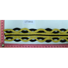 CYY3843