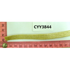 CYY3844