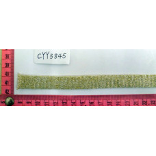 CYY3845