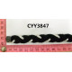 CYY3847